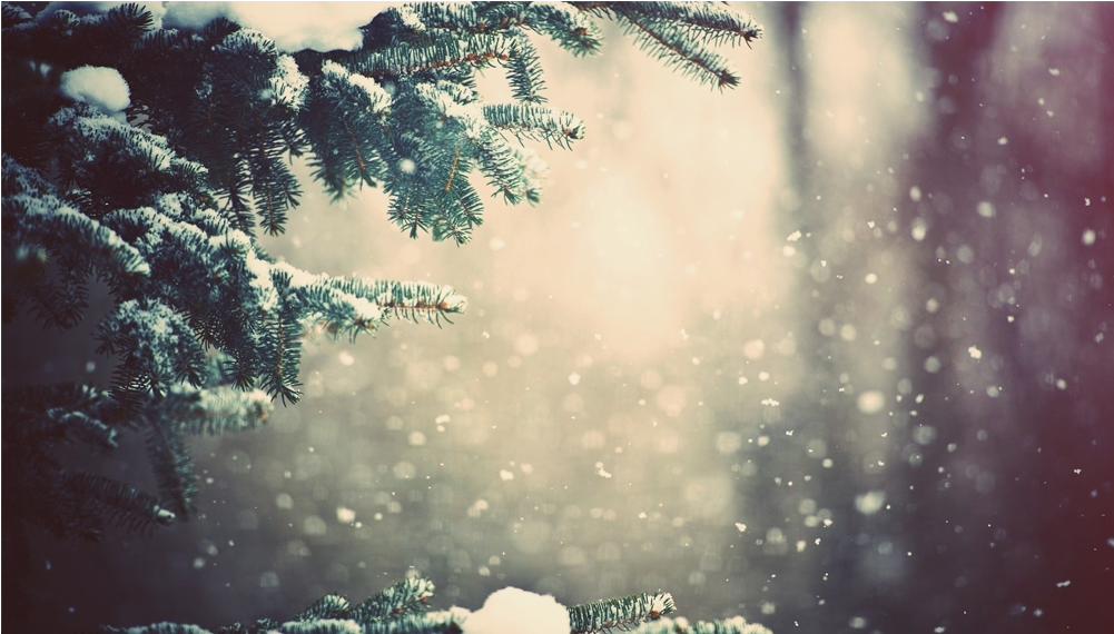 Score 50% - Snow Tree Branches Background (1000x1000), Png Download