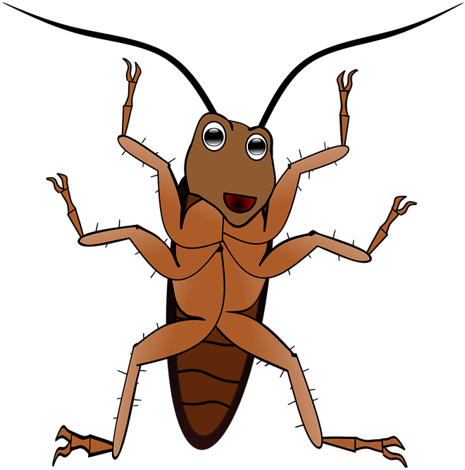 Antenna Clipart Ant - แมลงสาบ การ์ตูน Png (706x720), Png Download