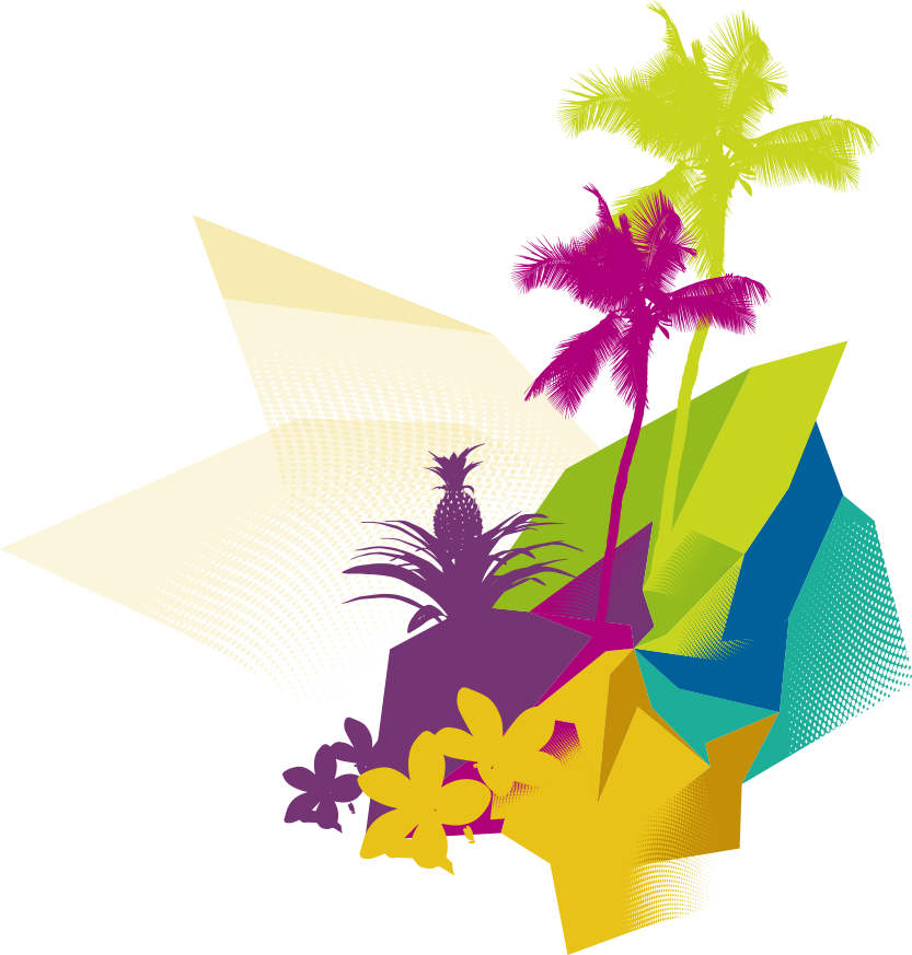 Hawaiian Png - Hawaiian Background Png (833x873), Png Download