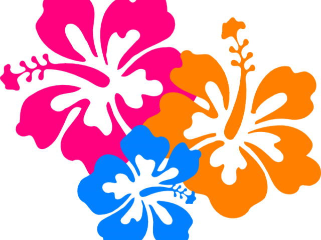 Flowers Of Hawaii Png (640x480), Png Download