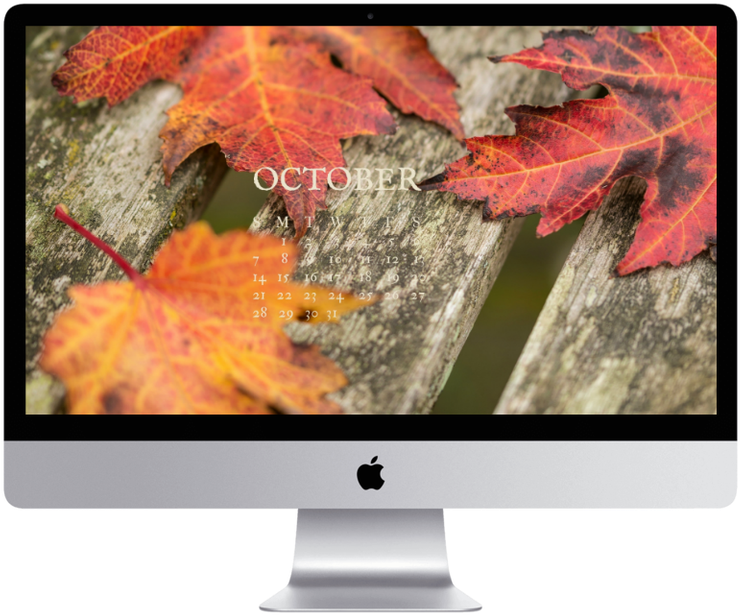 You Know You're Old When You Watch Home Alone And Wonder - Imac 21 5 (768x768), Png Download