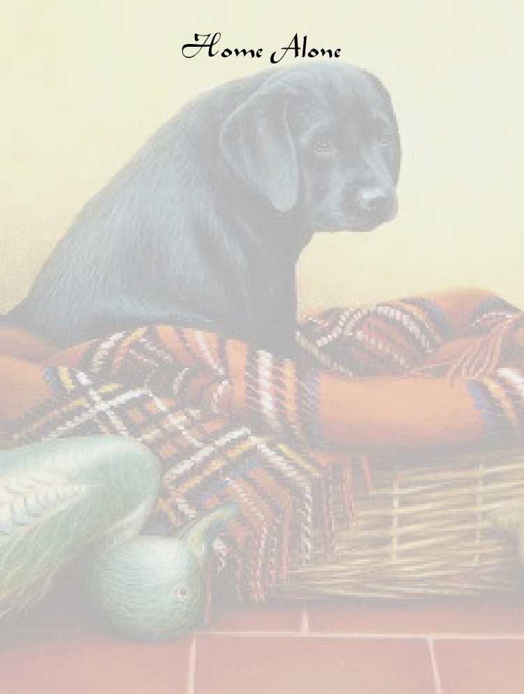 Old Site Home - Companion Dog (750x994), Png Download