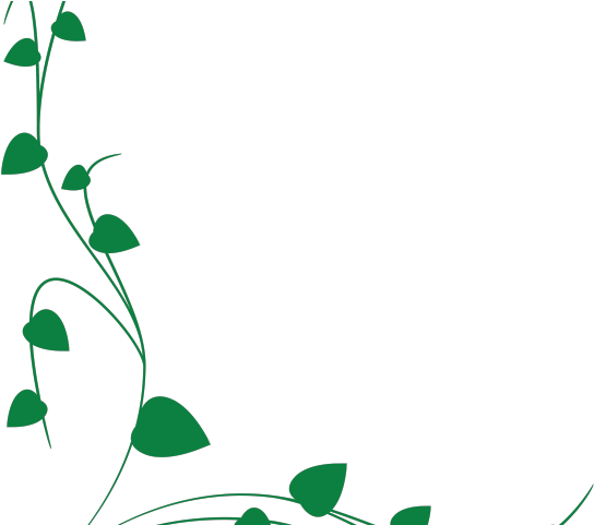 Vine Clipart Border - Vektor Bunga Hijau Putih (640x480), Png Download