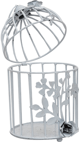 White Bird Cage - Cage (500x750), Png Download