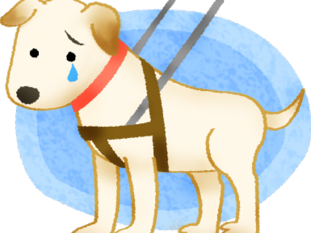 Nurse Clipart Dog - Companion Dog (640x480), Png Download