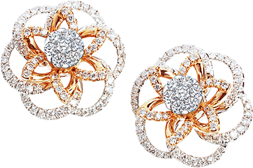 Earrings (1000x1434), Png Download