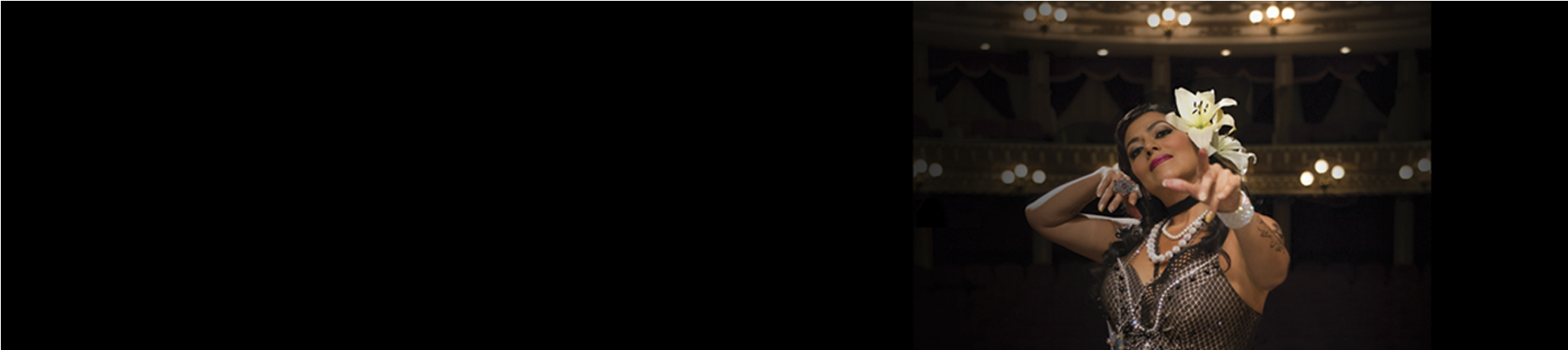Salon, Lagrimas Y Deseo Album Review By All Music - Darkness (1900x500), Png Download