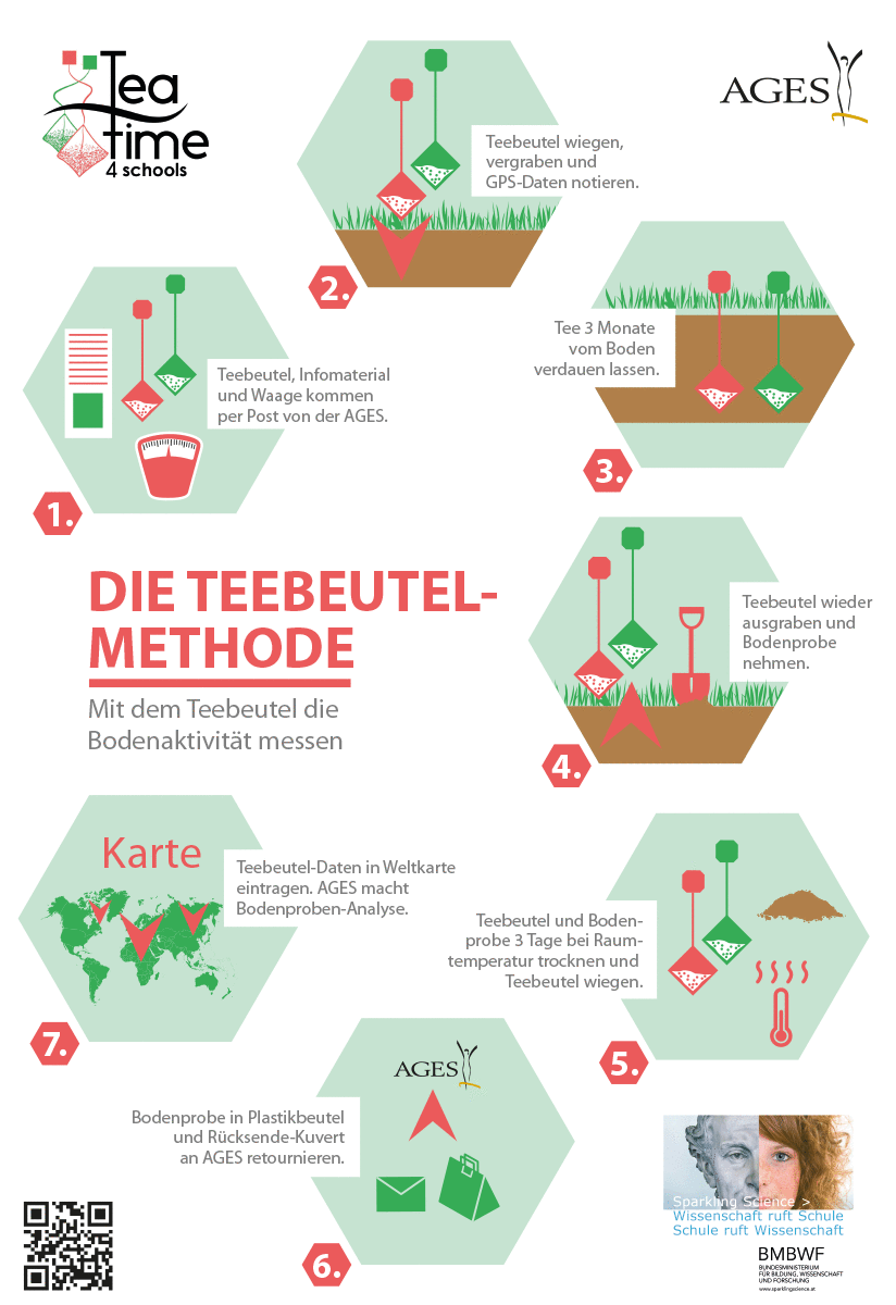 The Tea Bag Method At A Glance - Diagram (824x1200), Png Download