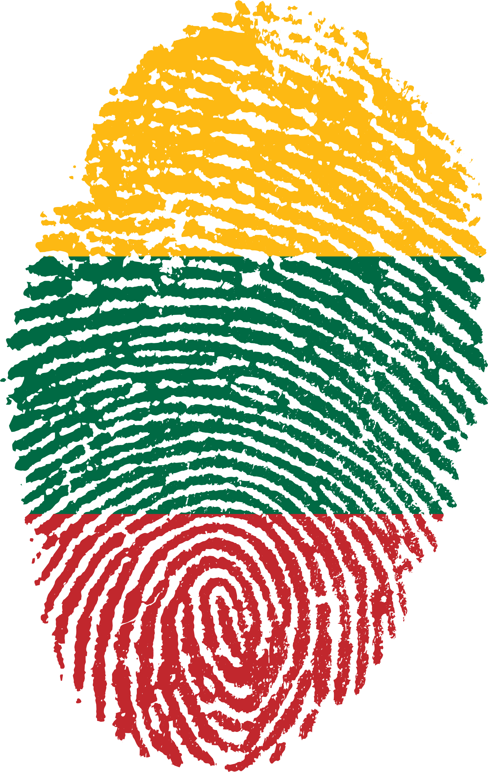 Lithuania Flag Fingerprint Country 655089 - Transparent Indian Flag Hd Png (1573x2488), Png Download