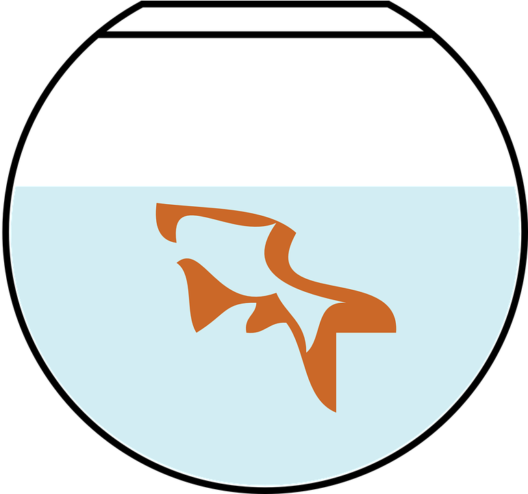 Animal Bowl Free Vector Graphic On Pixabay - Fish Bowl Clipart Png (788x720), Png Download