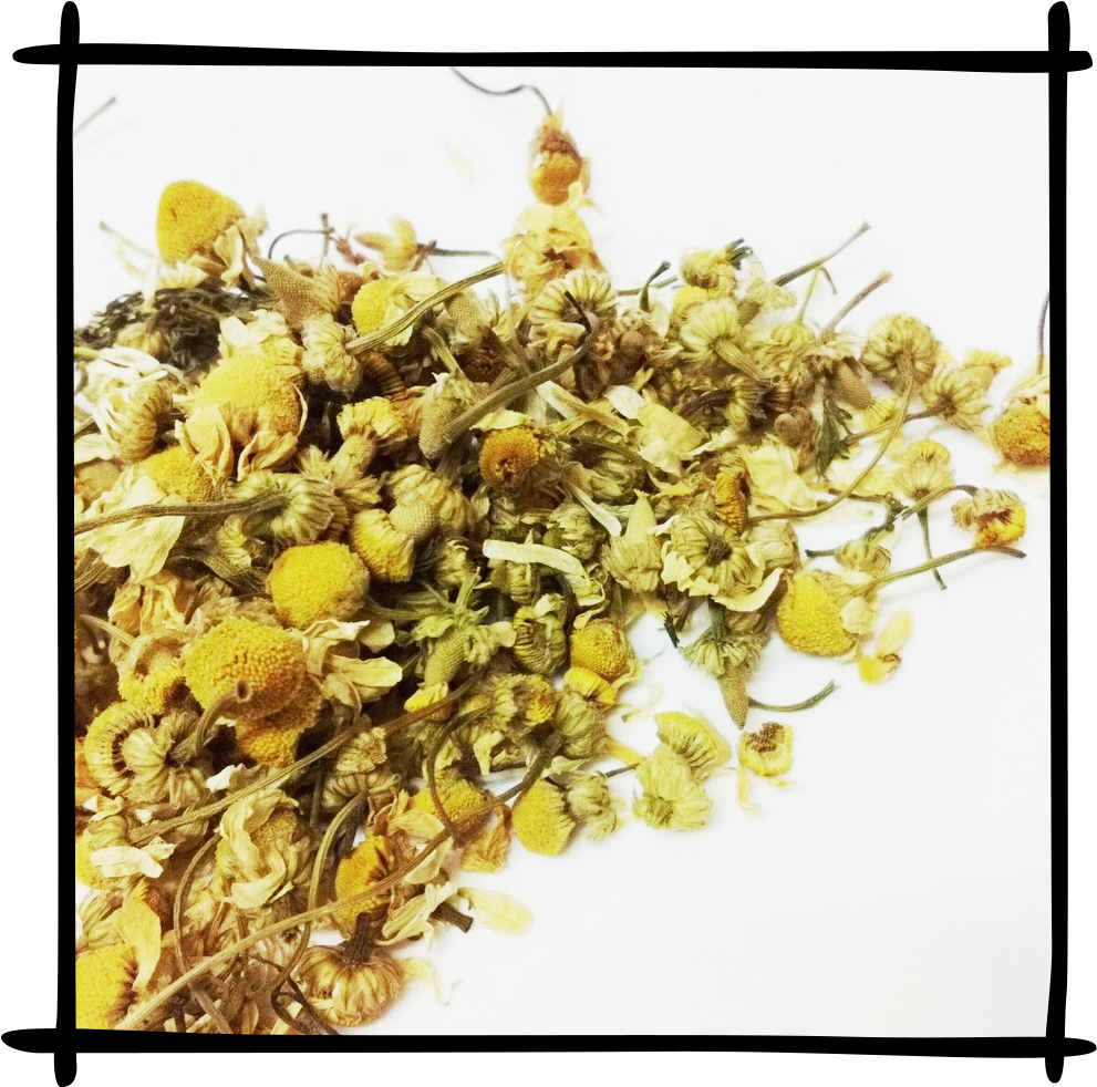 Loose Leaf Chamomile Flowers - Kenya Tea (1000x1000), Png Download