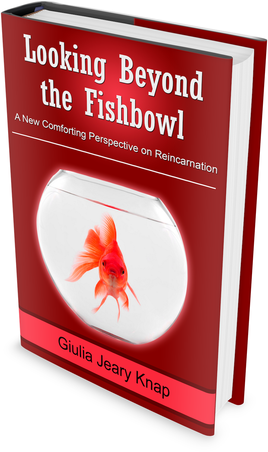 We Do Not Have To Be Reborn At Least, Not In The Traditional - Hermit Crab (1900x1603), Png Download