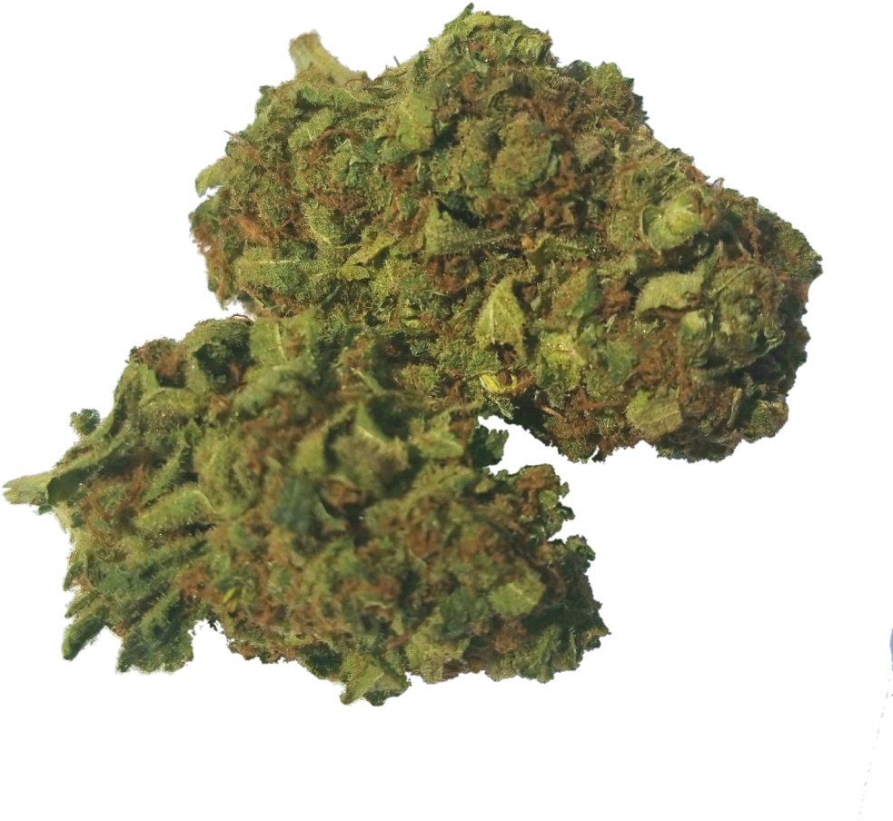 Common Horse Chestnut (1048x1048), Png Download