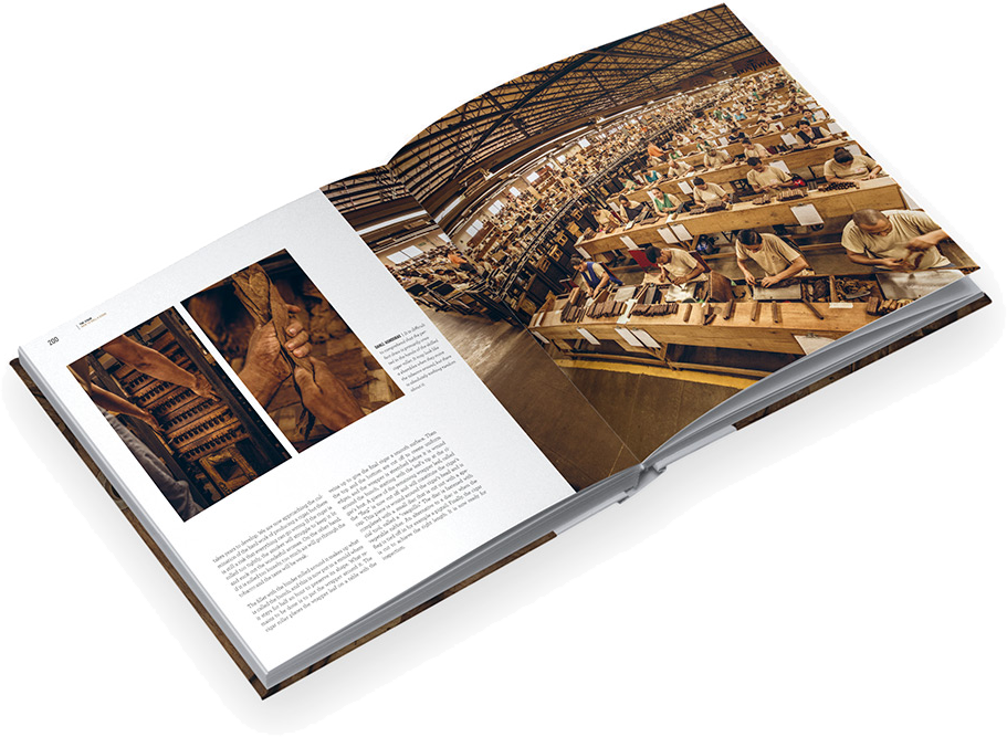 Moments Of Pleasure - Cigar Moments Of Pleasure (911x667), Png Download