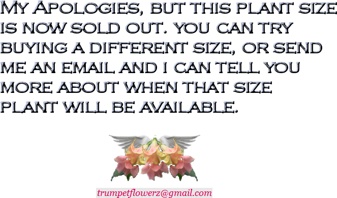 Com Shipping Map Approximate Time Table - Cattleya (1199x478), Png Download