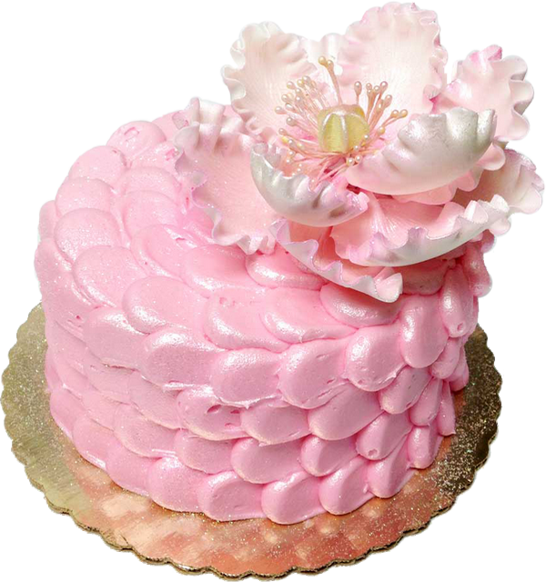 Birthday Cake For Princess (600x640), Png Download