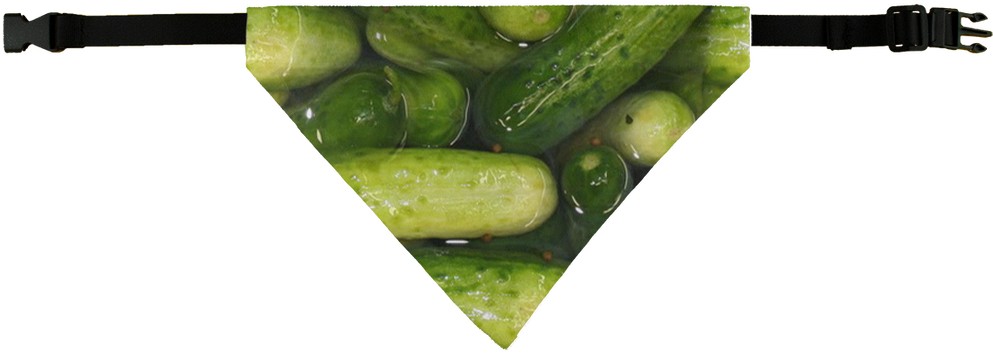 Pickles Pet Bandana - Cucumber (1024x1024), Png Download
