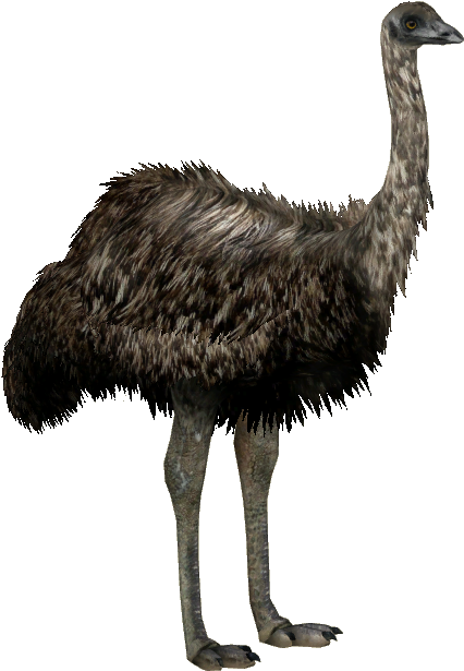 Image North Island Giant Whalebite Zt Download - Giant Moa Bird Png (614x614), Png Download