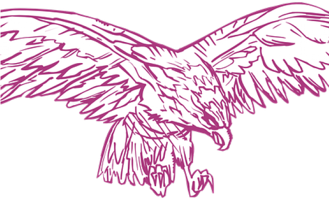 Drawn Hawk Eagle Wings Spread - Clip Art (640x480), Png Download