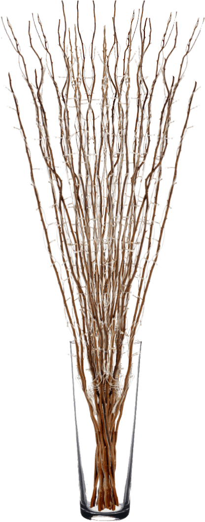 Twigs Willow With Fairy Lights - Vase (1080x1080), Png Download