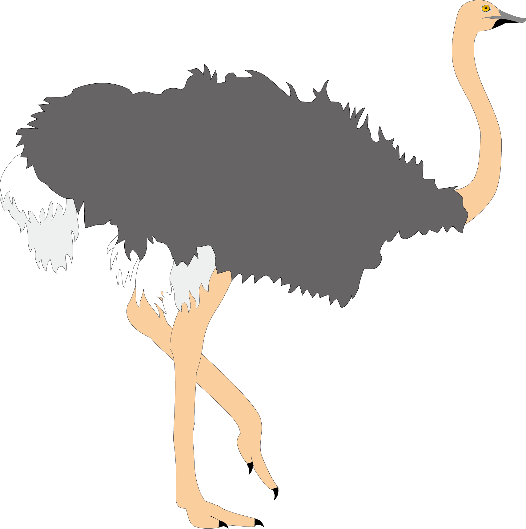 Common Clip Art Ugly Transprent Png Ⓒ - 駝鳥 卡通 (1709x1720), Png Download