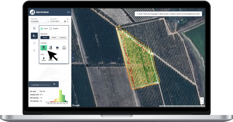 Download 'tree Data' Shows The Individual Tree Insights Available PNG ...