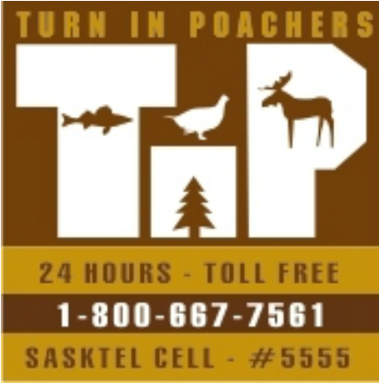 Man Fined 5k For Illegally Shooting Pregnant Moose - Turn In Poachers (880x440), Png Download