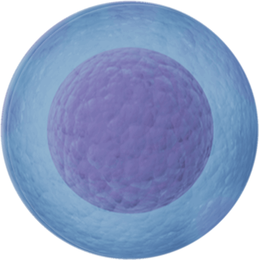 Connecting People To Improve Lives - Circle (1900x1100), Png Download