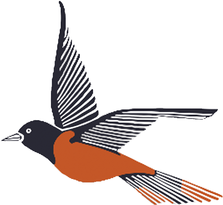 1982-2003 - Old World Flycatcher (750x450), Png Download