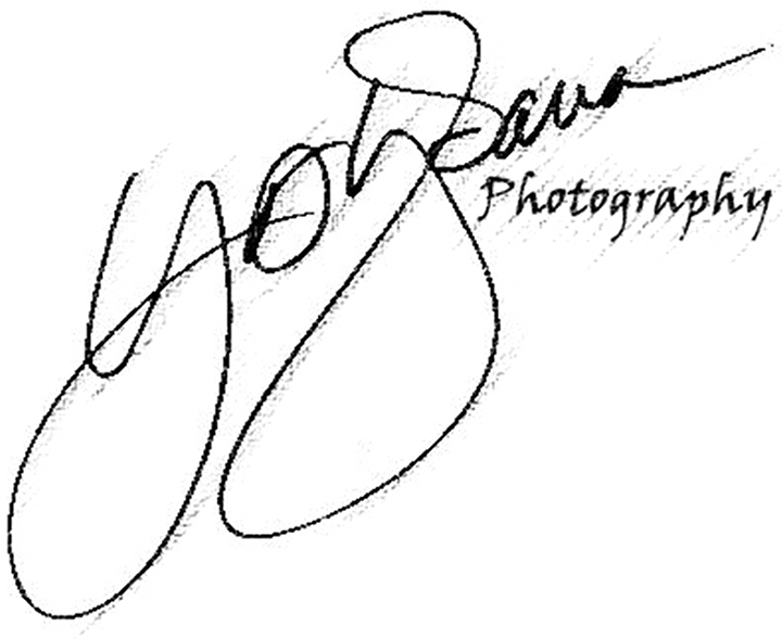 Professional Photographer - Line Art (720x589), Png Download