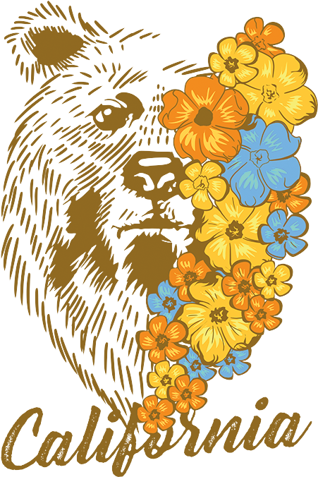 California Bear Flowers - Illustration (675x675), Png Download