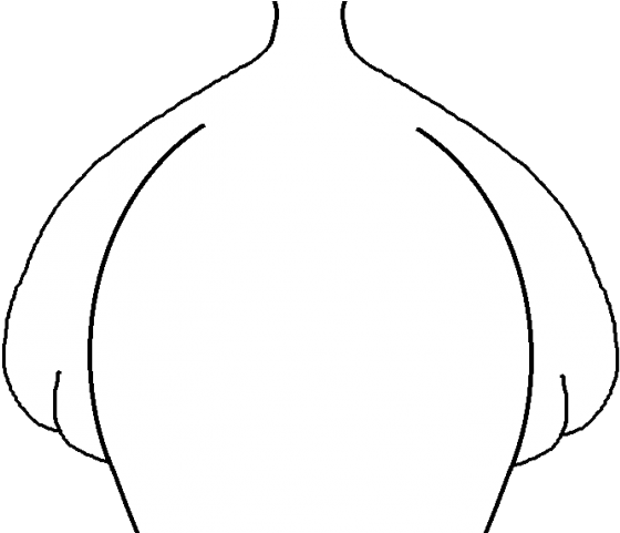 Turkey Clipart Feather - Circle (640x480), Png Download