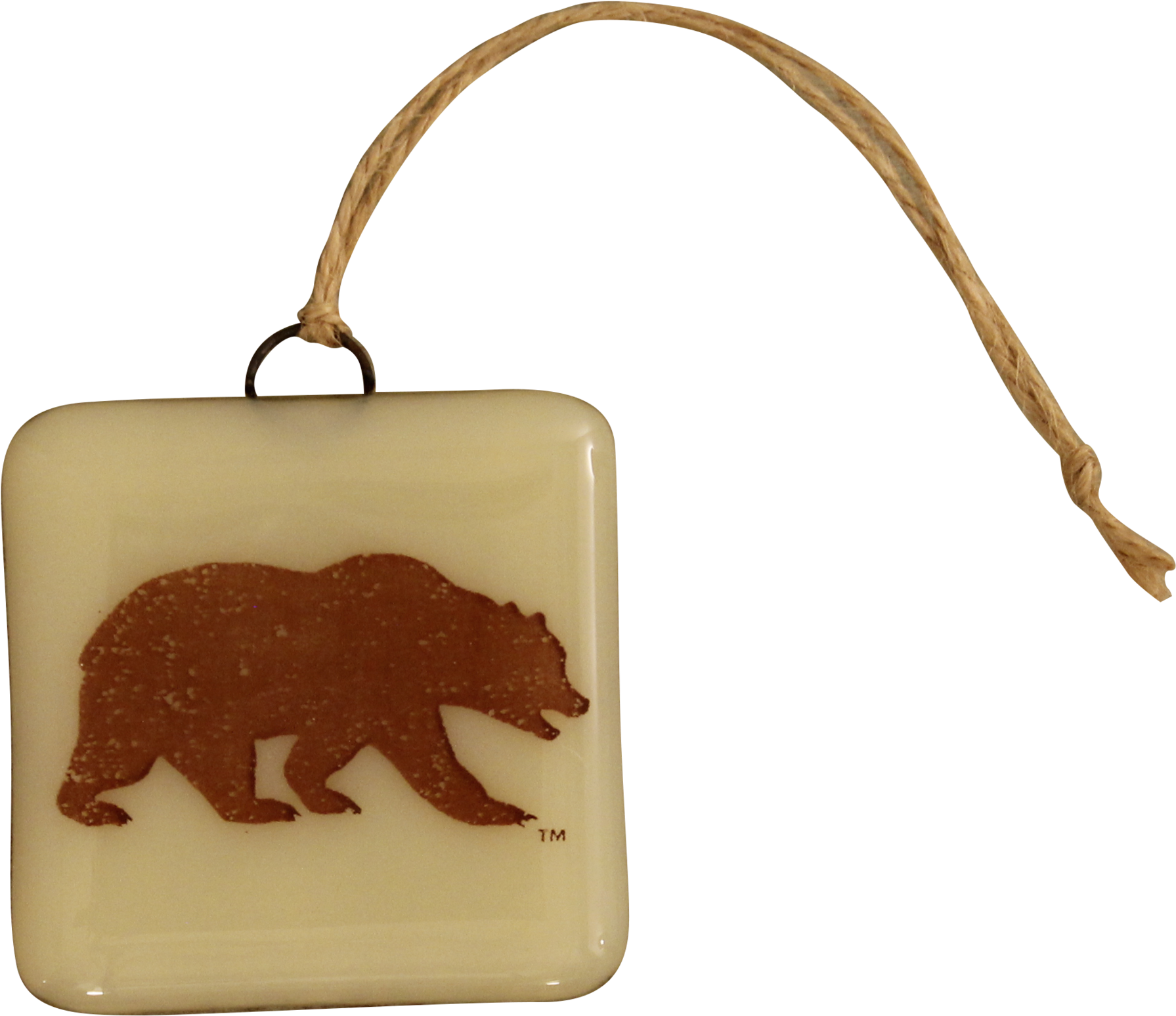 Cal Bear Glass Ornament - Indian Elephant (2000x2000), Png Download