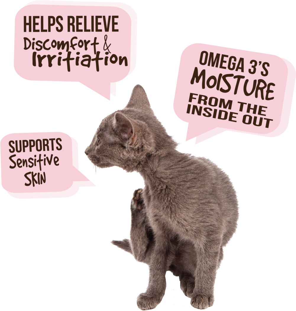 Skin &amp - Allergy - Children's Brain Tumor Foundation (1000x1077), Png Download