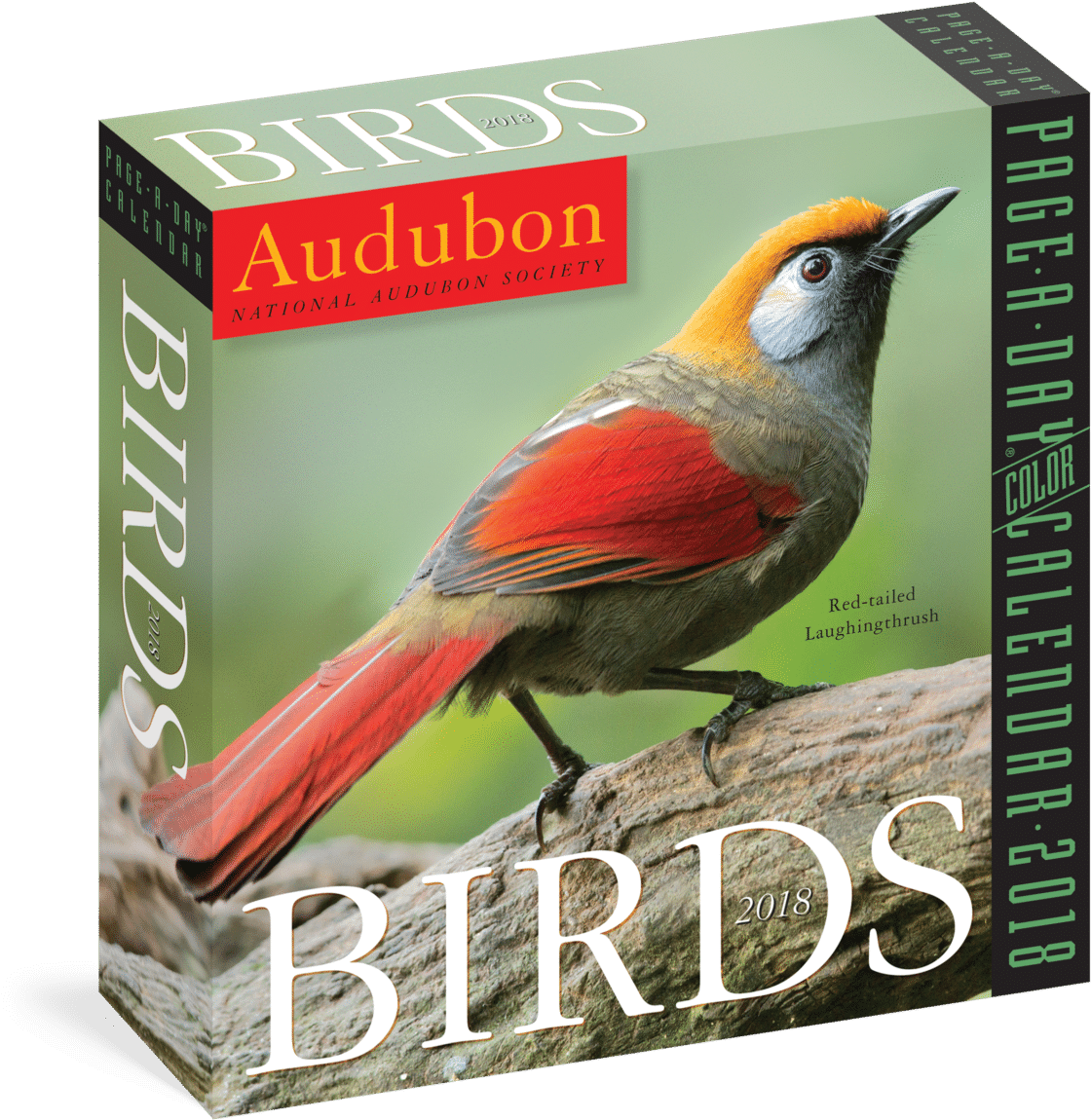 2018 Audubon Page A Day Calendar - Old World Flycatcher (1200x1200), Png Download