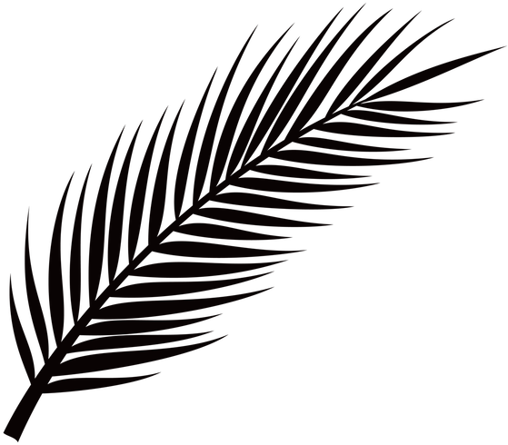 Picture - Palm Leaf Png Free (916x800), Png Download