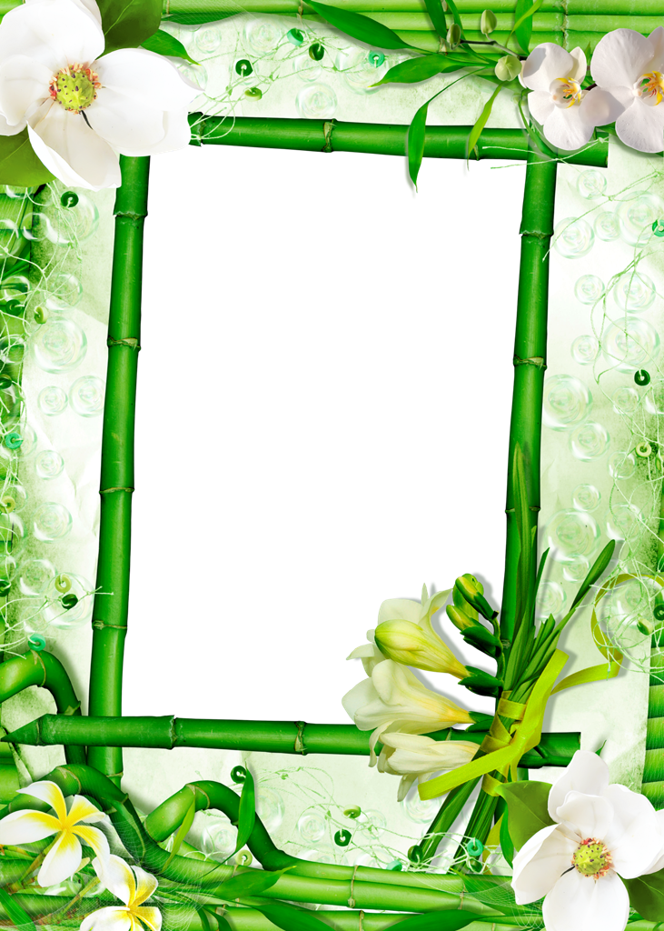 Forgetmenot - Lily Family (731x1024), Png Download