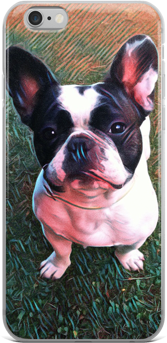 French Bulldog Phone Case - French Bulldog (1000x1000), Png Download
