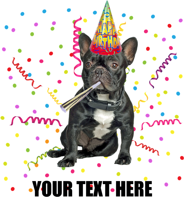Custom French Bulldog Birthday Burp Cloth - Birthday Wishes With French Bulldog (700x700), Png Download