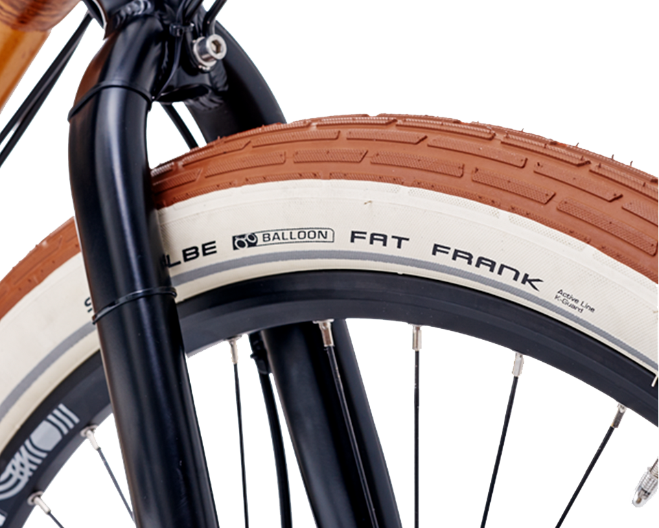 schwalbe fat frank 26