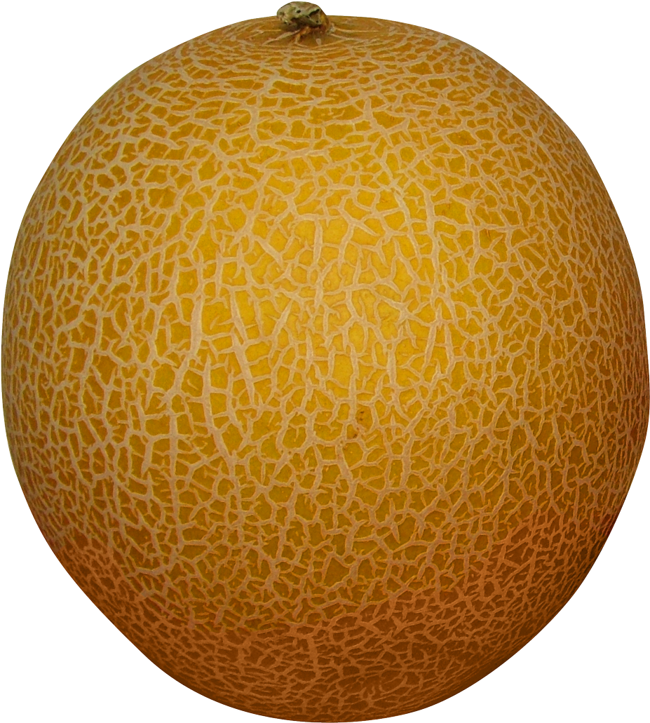 Melon Transparent Background Png (1017x1100), Png Download