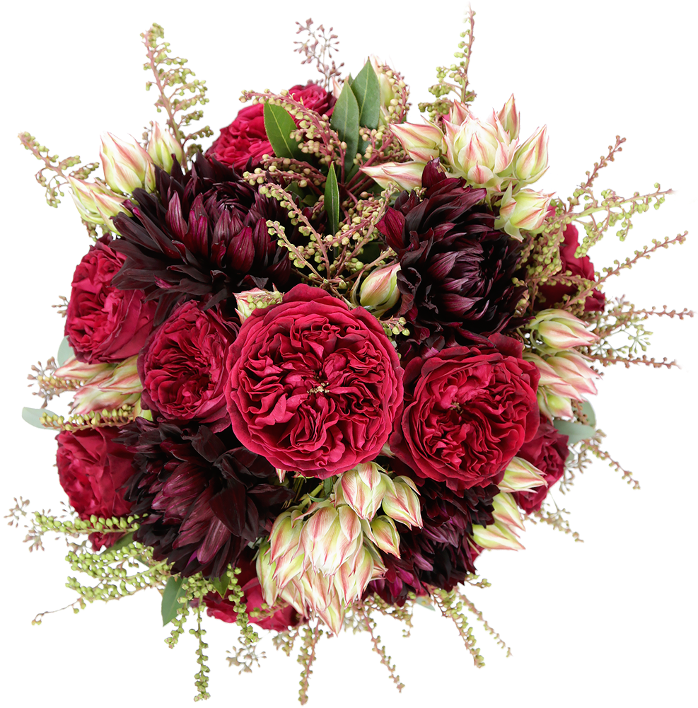 Red Red Wine - Garden Roses (1000x1000), Png Download