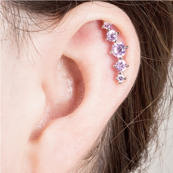 Cartilage Piercing Ring - Cartilage Piercings Earrings (730x730), Png Download