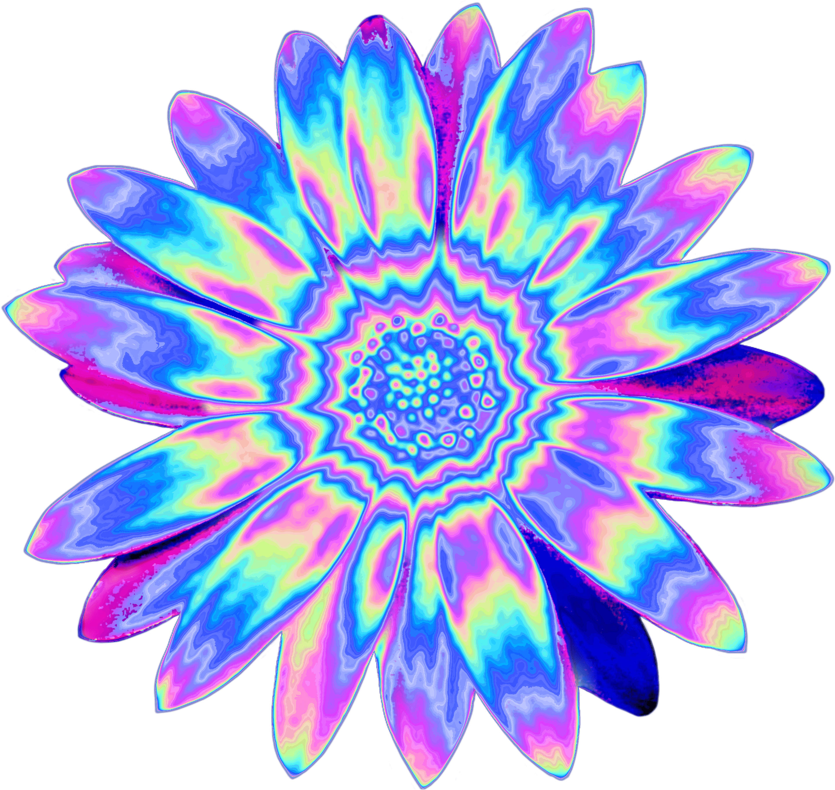 • Shapely Flower Holo Holographic Tumblr Vaporwave - African Daisy (2896x2896), Png Download