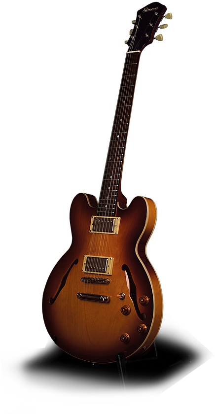 Fibonacci Tomcat - Electric Guitar (453x887), Png Download