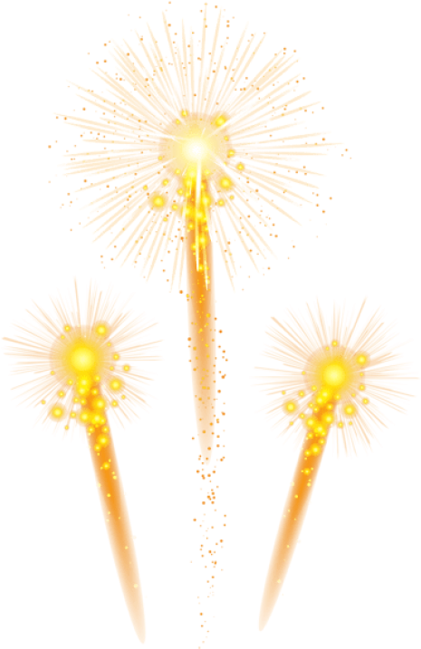 Free Png Fireworks Png - Dandelion (480x739), Png Download