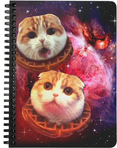 Space Waffles Spiralbound Notebook - Waffles The Cat Merch (600x600), Png Download
