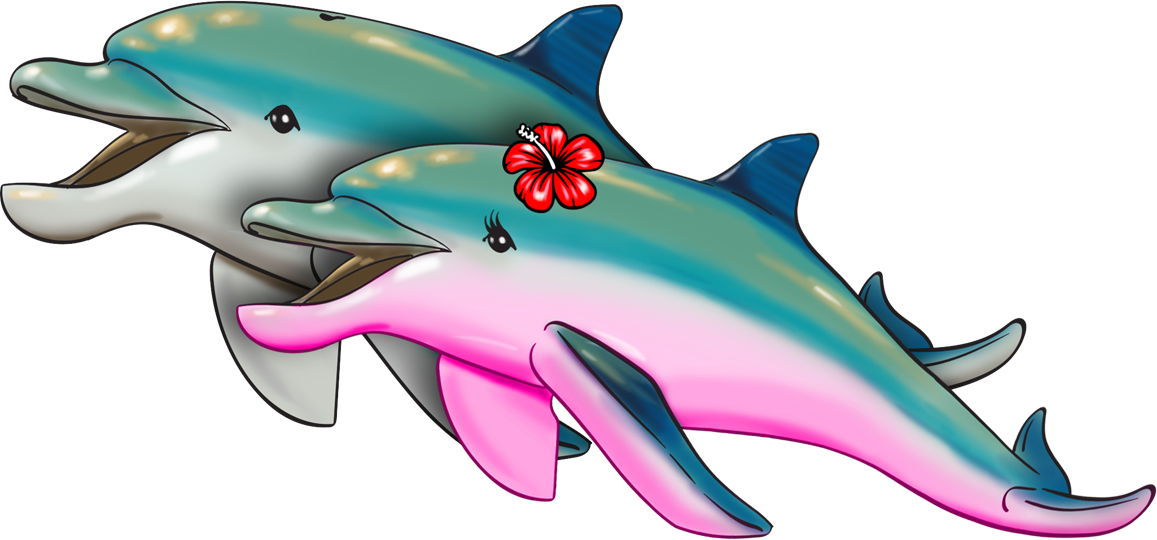 "fear Not Blob Farley, Let Us Show You The Way We Shall - Common Bottlenose Dolphin (1157x540), Png Download