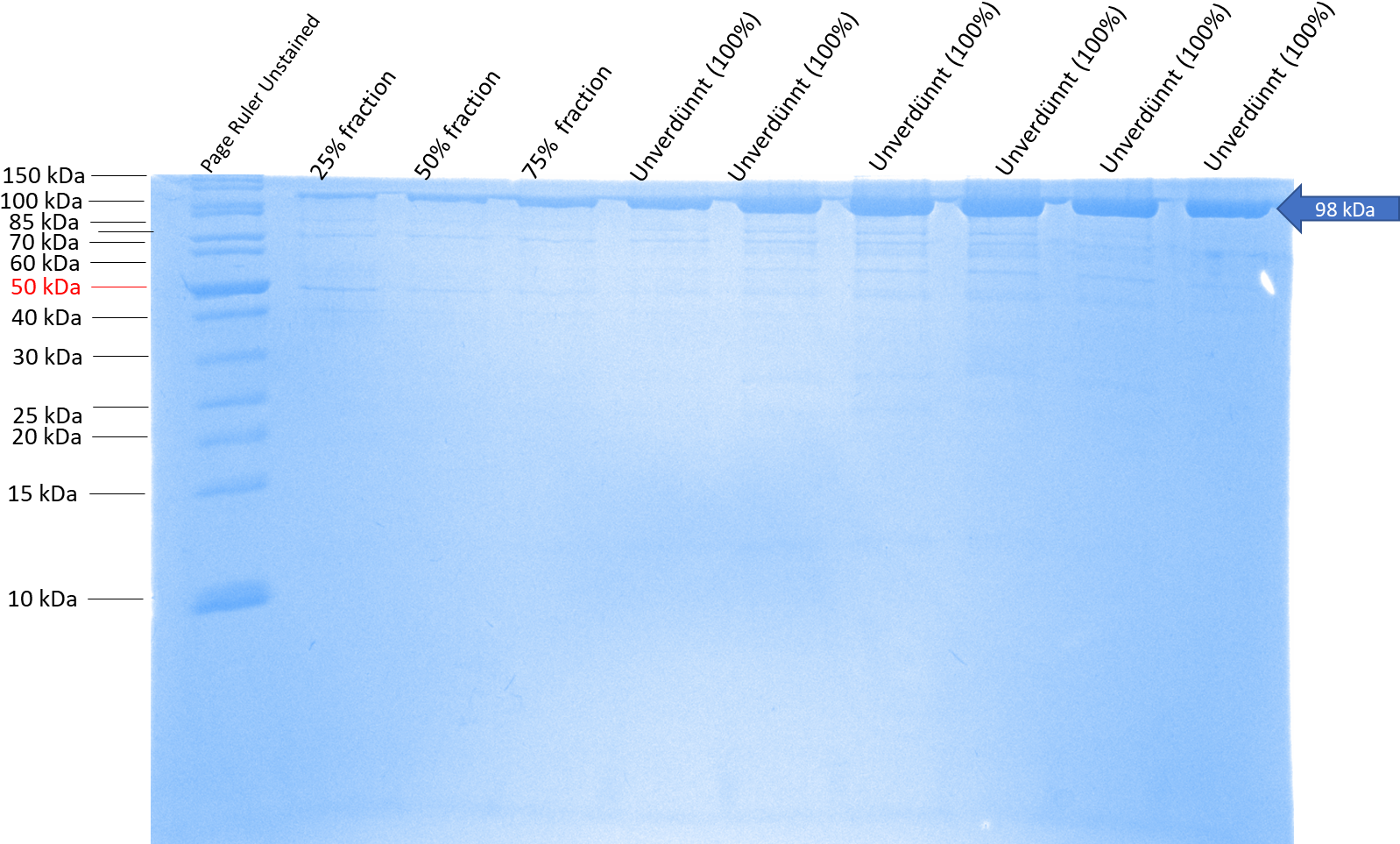 Sbsb Wt - Document (1698x1023), Png Download