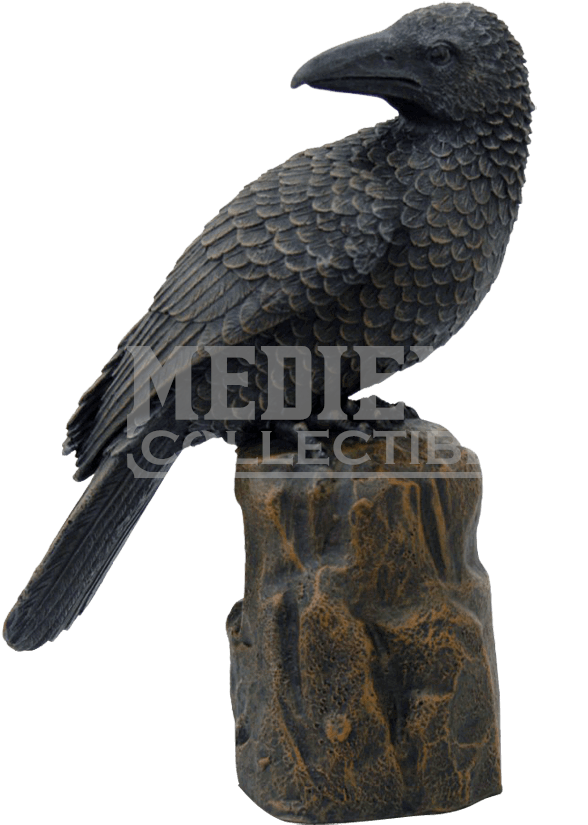 Raven Silhouette Perched - American Crow (850x850), Png Download